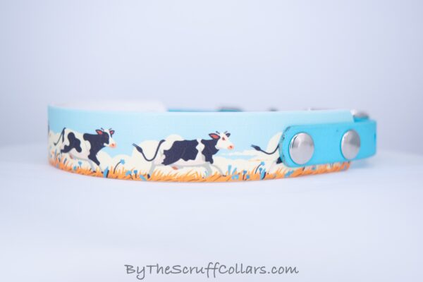 14-16" Frolicking Cows UV Print/Light Blue w/Nickel Hardware 5/8" Taper