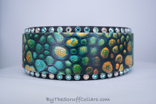 13.5-15.5" Chameleon UV Print/Black 2" collar w/Nickel Hardware 1.5" Buckle