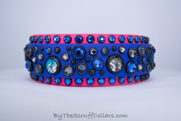 11-13" Mini Circus 1.5" collar Royal/Black w/Black Hardware 1" Buckle