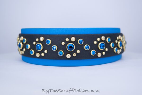 14.5-16.5" Unity 1.5" collar Black/Azure w/Brass Hardware 1" Buckle