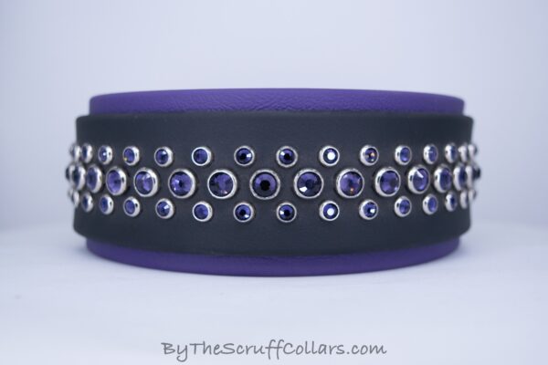 13-15" Tris 2" Collar Black/Purple w/Nickel Hardware 1.5" Buckle