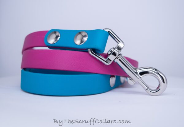 4ft Magenta/Turquoise Two-Tone Leash w/Nickel