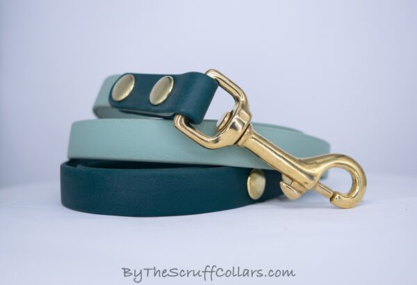 4ft Sage/Forest Green Two-Tone Leash w/Brass