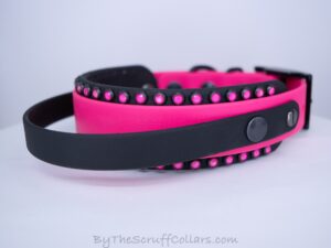 12.5-14.5" Handle Collar Hot Pink/Black 1.5" w/Black Hardware & 1" Buckle