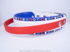 14.5-16.5" Handle Collar White/Royal Blue 1.5" w/Nickel Hardware & 1" Buckle
