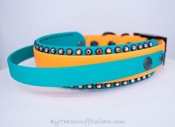 14-16" Handle Collar Apricot/Teal 1.5" w/Black Hardware & 1" Buckle