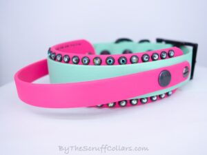 12-14" Handle Collar Seafoam/Hot Pink 1.5" w/Black Hardware & 1" Buckle