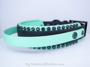 13.5-15.5" Handle Collar Black/Seafoam 1.5" w/Black Hardware & 1" Buckle