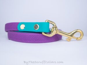 4ft Purple/Teal Two-Tone Grippy Leash w/Brass