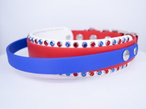 14.5-16.5" Handle Collar blue/red/white 1.5" w/Nickel Hardware & 1" Buckle