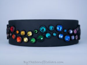 12.5-14.5" Rainbow Double Aurora 1.5" Two-Tone Collar Black/Black w/Black Hardware 1" Taper