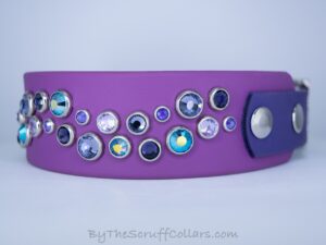 12.5-14.5" Double Aurora 1.5" Two-Tone Collar Grape/Purple w/Nickel Hardware 1" Taper