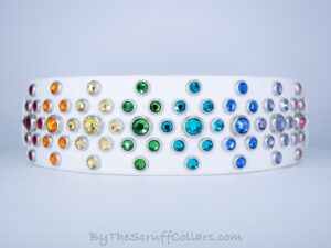 14-16" Rainbow Paparazzi 1.5" Two-Tone Collar White/White w/Nickel Hardware 1" Taper