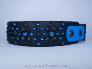 14-16" Kinetic 1.5" Two-Tone Collar Black/Azure w/Black Hardware 1" Taper