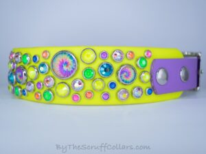 15-17" Electric Tie Dye Circus 1.5" Two-Tone Collar Neon Yellow/Lilac w/Nickel Hardware 1" Taper
