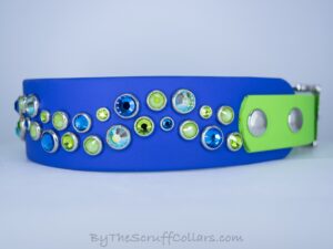 14.5-16.5" Double Aurora 1.5" Two-Tone Collar Royal Blue/Lime w/Nickel Hardware 1" Taper