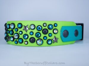 13-15" Stardust 1.5" Two-Tone Collar Lime/Teal w/Black Hardware 1" Taper