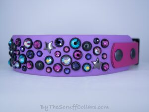 14.5-16.5" Stardust 1.5" Two-Tone Collar Lilac/Magenta w/Black Hardware 1" Taper