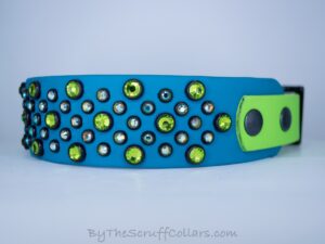 14-16" Ozone 1.5" Two-Tone Collar Turquoise/Lime w/Black Hardware 1" Taper