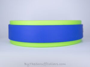 14.5-16.5" No Bling Royal Blue/Lime 1.5" collar w/Nickel Hardware 1" Buckle