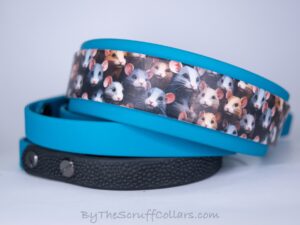 12-15" Rats UV Print/Turquoise 1.5" French Martingale w/Black Hardware 1" taper