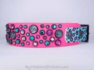 15-17" Chaos 1.5" Two-Tone Collar Hot Pink/Wild Jaguar UV Print w/Black Hardware 1" Taper